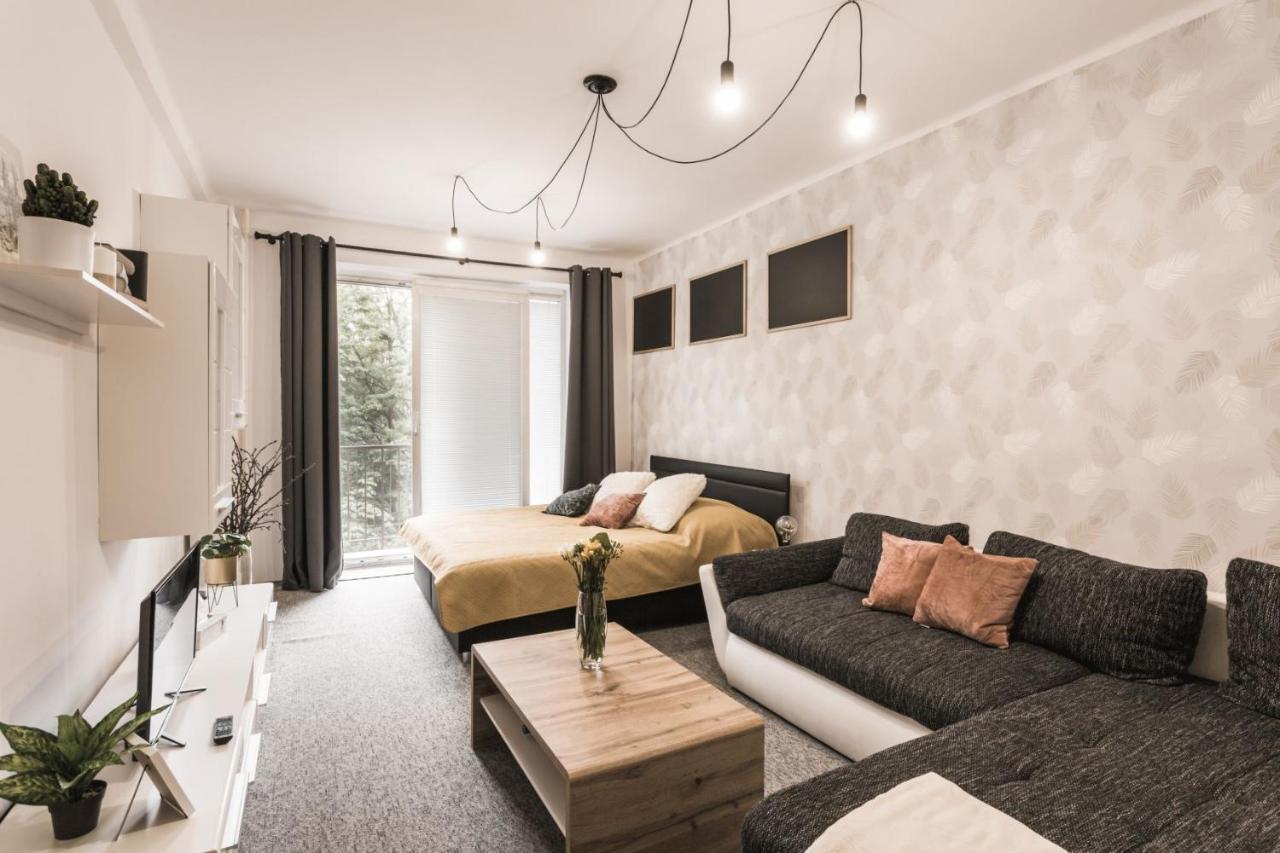 Flexihome Sk - Tolsteho - Free Parking On The Street - 2 Bedrooms Kosice
